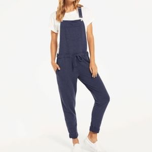 XL Z SUPPLY French Terry Overalls in Blue